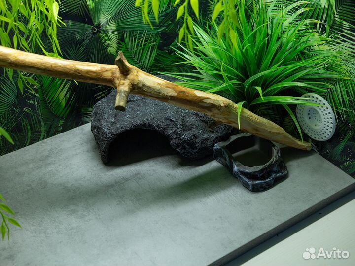 Террариум для рептилий новый