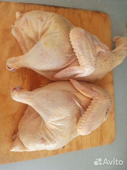 Мясо курицы бройлера, гуся, муларда, индейки