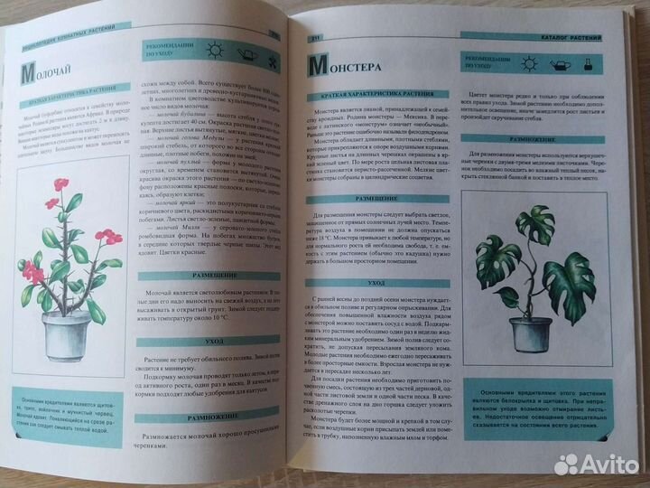 Книга энциклопедия комнатных растений