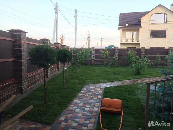 Рулонный газон