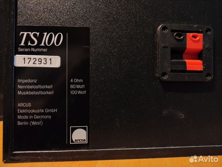 Arcus TS 100 акустика