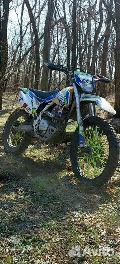 Avantis fx 250