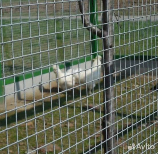 Оцинкованная сетка для клеток и вольеров