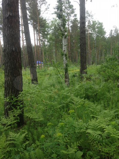 Участок 12 сот. (ИЖС)