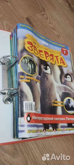 Твои весёлые друзья зверята