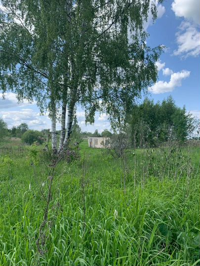 Участок 100 сот. (ИЖС)