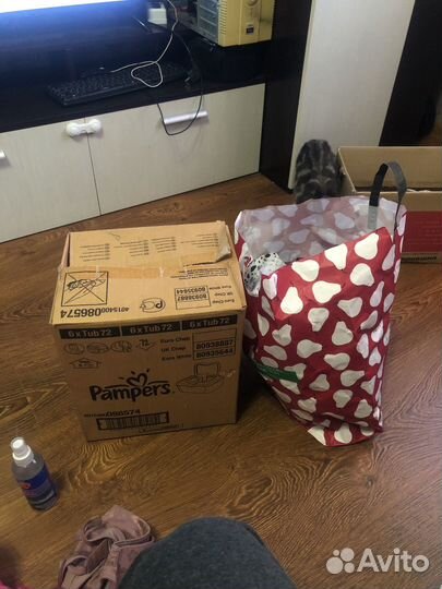 Вещи женские 42-44