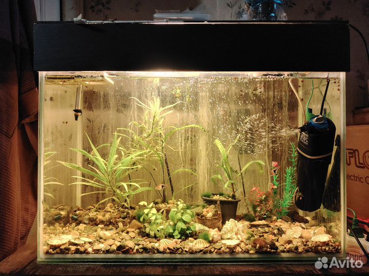 Аквариум