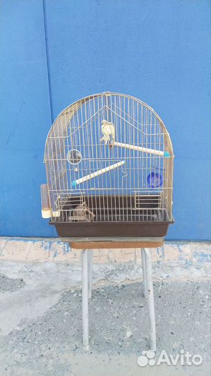 Большая клетка для птиц
