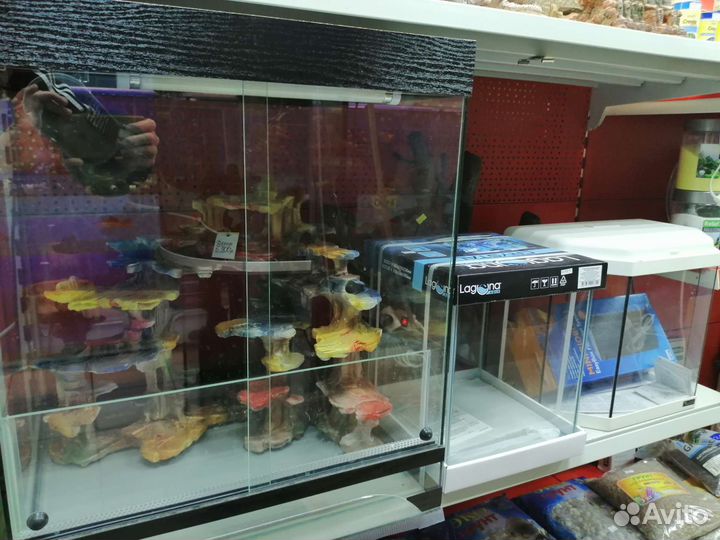Аквариумы террариумы