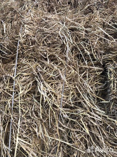 Солома рисовая