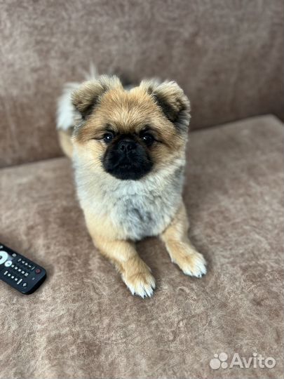 Кабель вязка