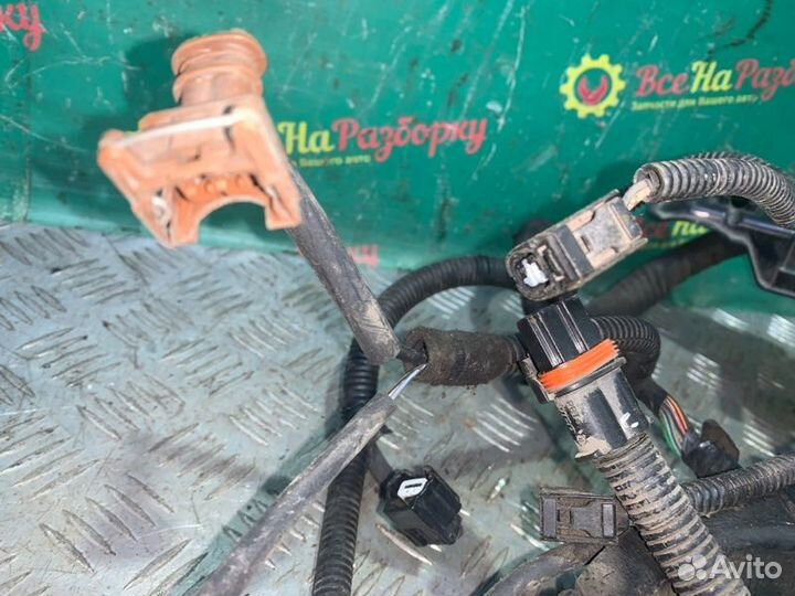 Проводка подкапотная Renault Fluence седан 1.6