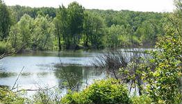 Участок 20 сот. (ИЖС)