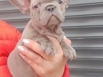 фото однокомнатной квартиры с кроватью с хорошим ремонтом. квартира от собственника. двухкомнатную квартиру без агентства. квартиры без посредников челны. квартиры без посредников челны.