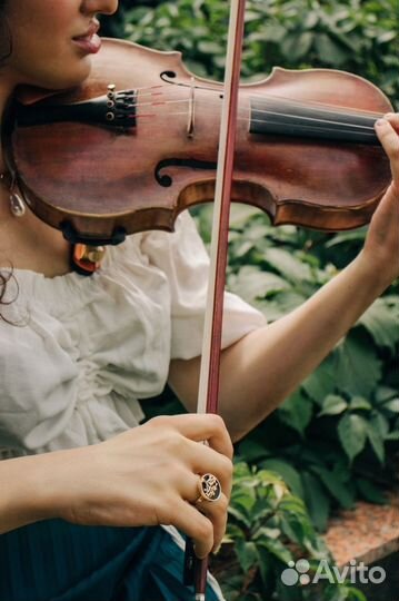 Репетитор по скрипке и сольфеджио