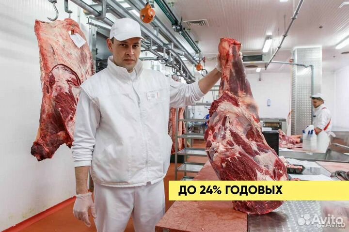 Ищу займ в мясокомбинат, доход 36121 в мес