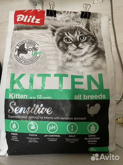 Корм для котят