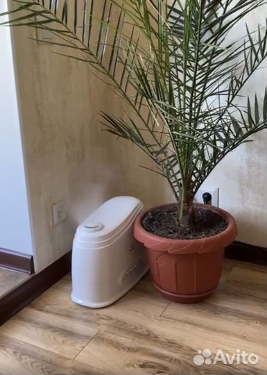 Увлажнитель воздуха boneco