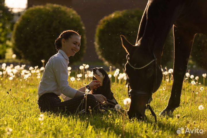 Кинолог с выездом