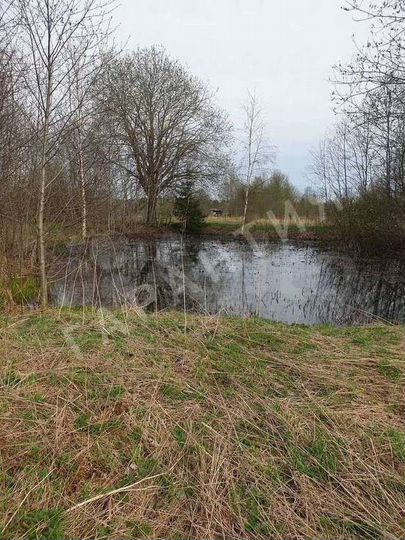 Дом 42,3 м² на участке 15 сот.