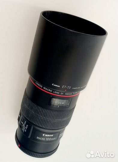 Макрообъектив canon EF 100 mm и вспышка