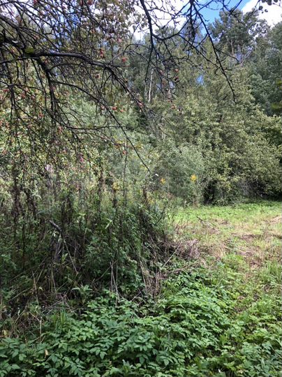 Дача 30 м² на участке 8 сот.