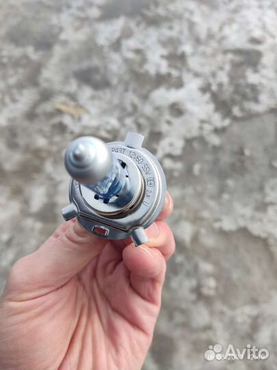 Лампы h4 xenite