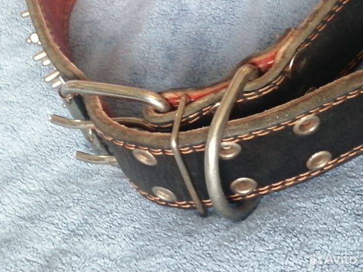 Ошейник для собак