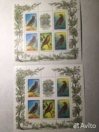 2 малых листа «Певчие птицы России» 1995