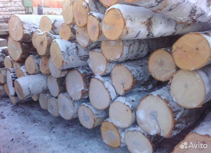 Фанкряж березовый