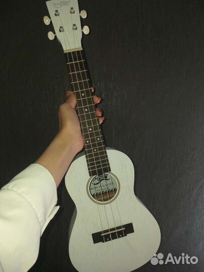 Укулеле концерт