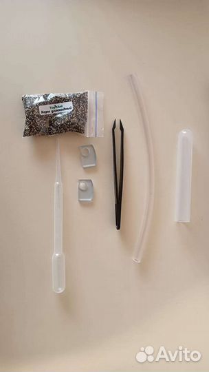 Муравьиная ферма