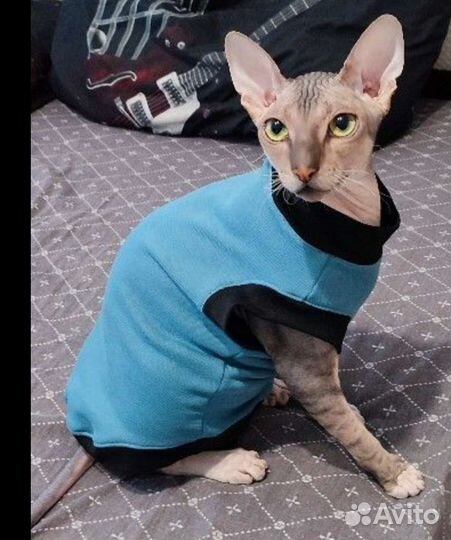 Футболка Кофта Одежда для сфинкса