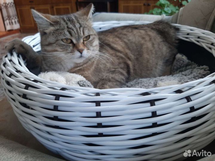 Лежак,домик для животных из ротанга