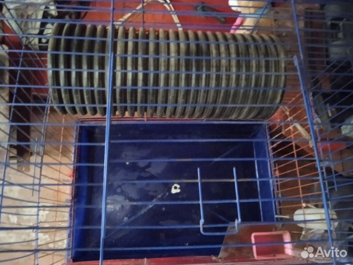 Клетка для животных размер 70*80*45