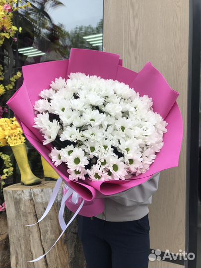 Ромашковая хризантема доставка