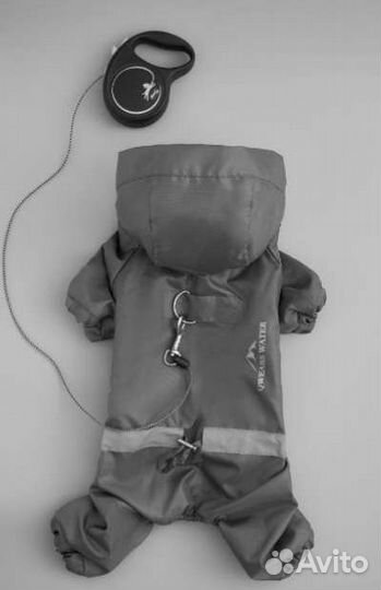 Одежда для собак