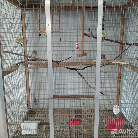 Большая клетка для птиц
