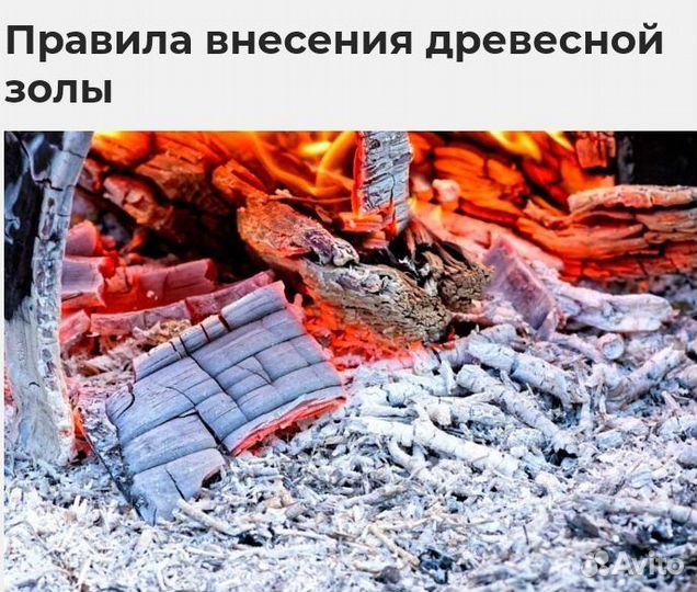 Зола древесная. Для удобрения