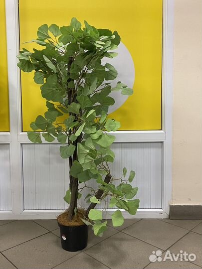 Искусственные растения