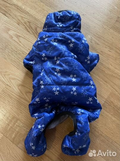 Одежда для маленьких собак