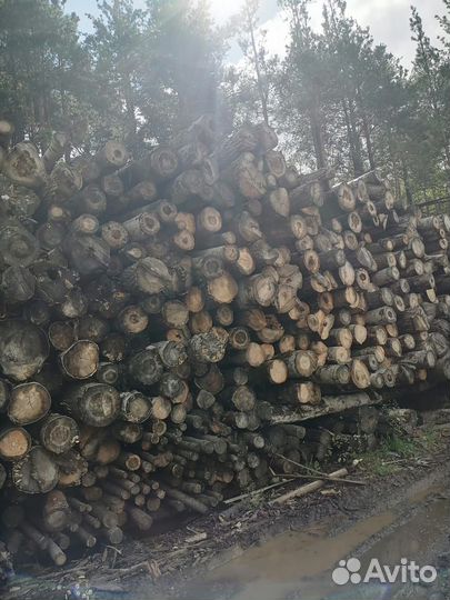 Продаются дрова