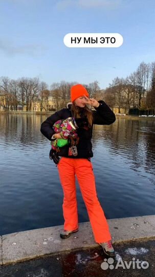 Передержка для собак, догситтер