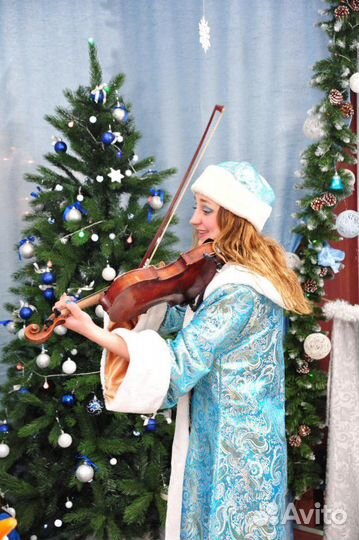 Скрипка на любой праздник