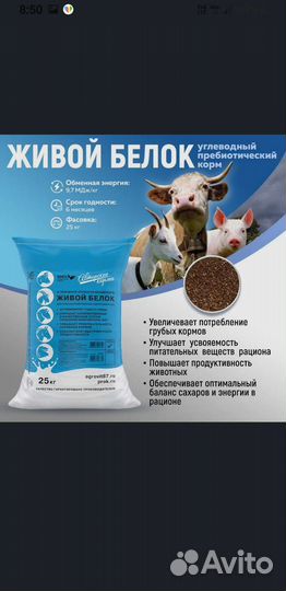 Живой белок для животных