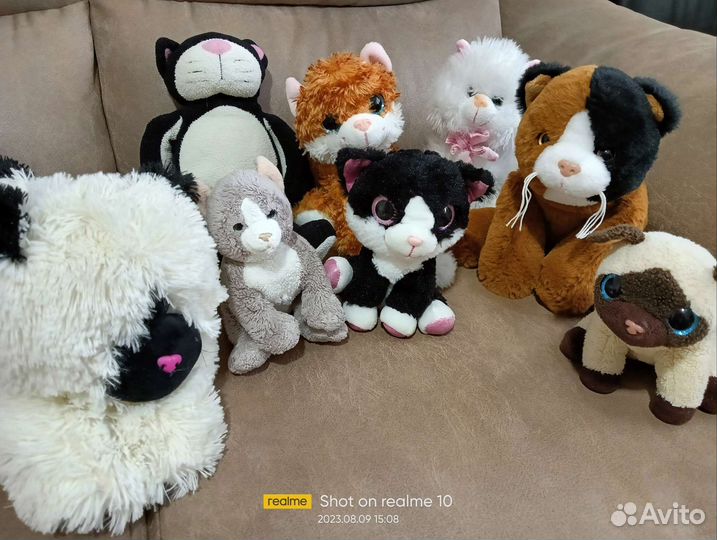 Мягкие игрушки коты котята
