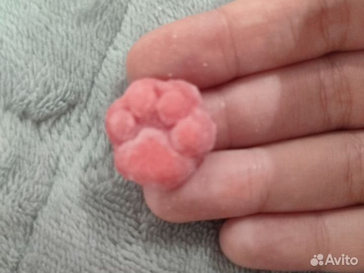 Таба лапки много