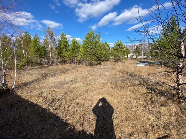 Участок 60 сот. (СНТ, ДНП)