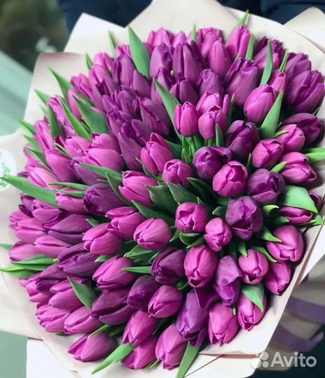 Цветы тюльпаны